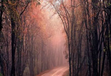 亚马逊云科技成为NBA及其附属联赛的官方云服务與(yǔ)云AI合作伙伴