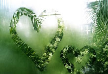 亚马逊云科技成为NBA及其附属联赛的官方云服务與(yǔ)云AI合作伙伴